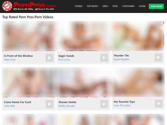 PornPros